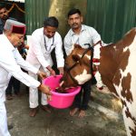 ಮಕರ ಸಂಕ್ರಾಂತಿ ಪ್ರಯುಕ್ತ ಗೋವುಗಳಿಗೆ ಪೂಜೆ ಸಲ್ಲಿಸಿದ ರಾಜ್ಯಪಾಲ.